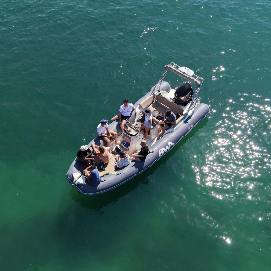 flottille de semi rigides au départ du port du crouesty pour un team building nautique